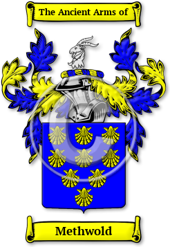 Methwold Family Crest Download (jpg) Legacy Series - 150 DPI