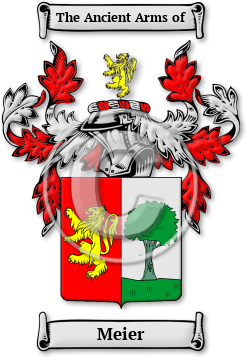 Meier Family Crest Download (jpg) Legacy Series - 150 DPI