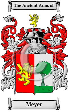 Meyer Family Crest Download (JPG) Heritage Series - 600 DPI
