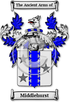 Middlehurst Family Crest Download (jpg) Legacy Series - 150 DPI