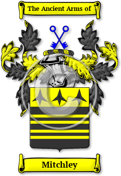 Mitchley Family Crest Download (jpg) Legacy Series - 150 DPI