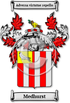 Medhurst Family Crest Download (jpg) Legacy Series - 150 DPI