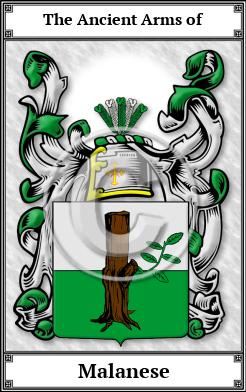 Malanese Family Crest Download (JPG)  Book Plated - 150 DPI