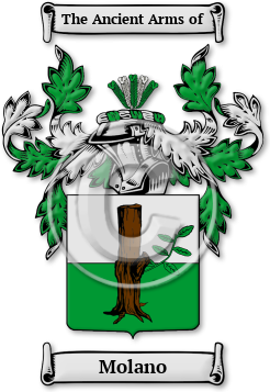 Molano Family Crest Download (jpg) Legacy Series - 150 DPI