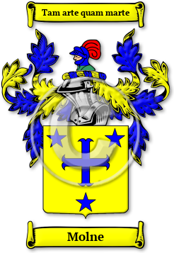 Molne Family Crest Download (JPG) Legacy Series - 600 DPI