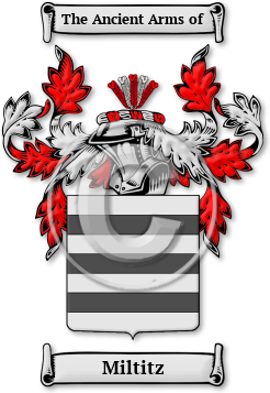 Miltitz Family Crest Download (jpg) Legacy Series - 150 DPI