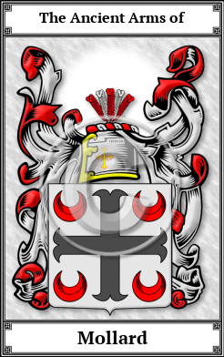 Mollard Family Crest Download (JPG)  Book Plated - 150 DPI