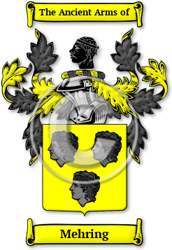 Mehring Family Crest Download (JPG) Legacy Series - 600 DPI