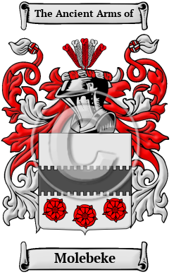 Molebeke Family Crest/Coat of Arms