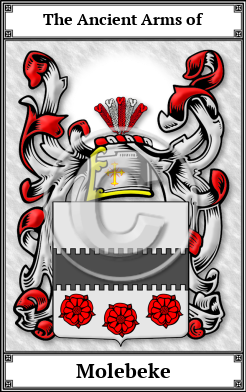 Molebeke Family Crest Download (JPG)  Book Plated - 150 DPI