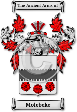 Molebeke Family Crest Download (jpg) Legacy Series - 150 DPI