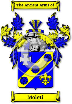 Moleti Family Crest Download (JPG) Legacy Series - 600 DPI