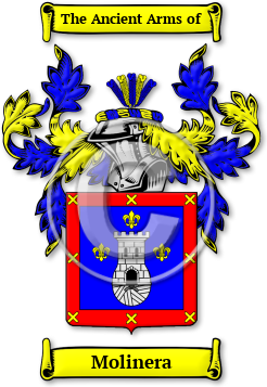 Molinera Family Crest Download (JPG) Legacy Series - 600 DPI