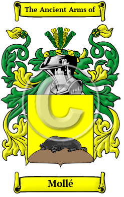 Mollé Family Crest Download (JPG) Heritage Series - 600 DPI