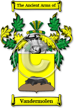 Vandermolen Family Crest Download (jpg) Legacy Series - 150 DPI