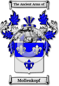 Mollenkopf Family Crest Download (jpg) Legacy Series - 150 DPI