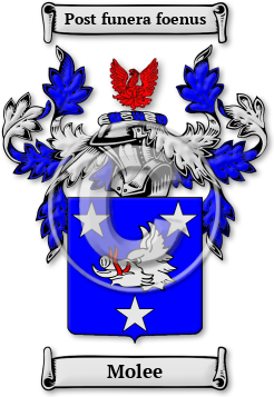 Molee Family Crest Download (JPG) Legacy Series - 600 DPI
