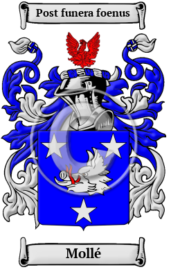 Mollé Family Crest Download (JPG) Heritage Series - 600 DPI