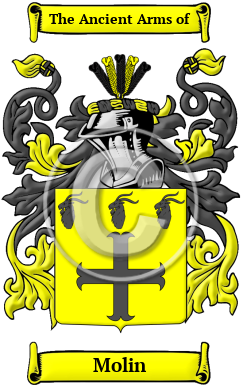 Molin Family Crest/Coat of Arms