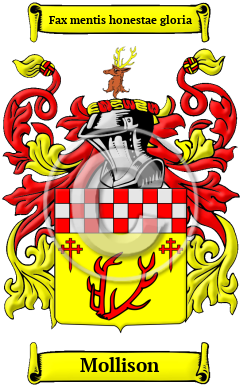 Mollison Family Crest Download (JPG) Heritage Series - 600 DPI