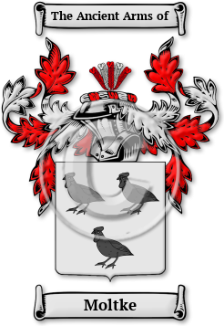 Moltke Family Crest Download (jpg) Legacy Series - 150 DPI