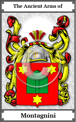Montagnini Family Crest Download (JPG)  Book Plated - 150 DPI
