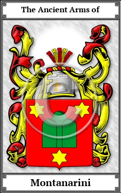 Montanarini Family Crest Download (JPG) Book Plated - 600 DPI