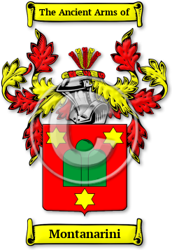 Montanarini Family Crest Download (JPG) Legacy Series - 600 DPI