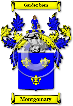 Montgomary Family Crest Download (jpg) Legacy Series - 150 DPI