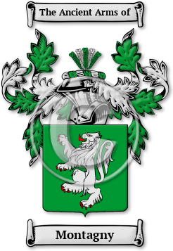 Montagny Family Crest Download (jpg) Legacy Series - 150 DPI