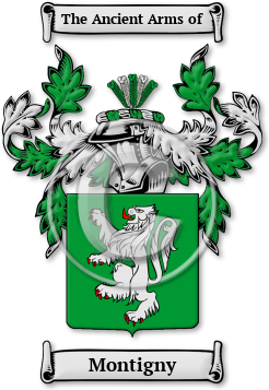 Montigny Family Crest Download (JPG) Legacy Series - 600 DPI