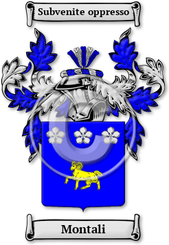 Montali Family Crest Download (JPG) Legacy Series - 600 DPI