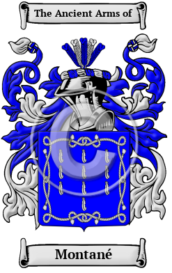 Montané Family Crest Download (JPG) Heritage Series - 300 DPI