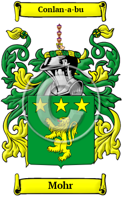 Mohr Family Crest/Coat of Arms