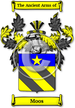 Moos Family Crest Download (jpg) Legacy Series - 150 DPI