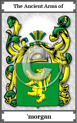 'morgan Family Crest Download (JPG) Book Plated - 600 DPI