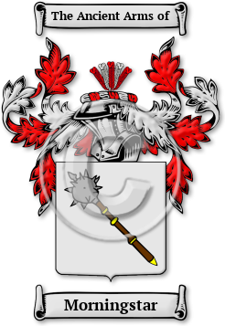 Morningstar Family Crest Download (jpg) Legacy Series - 150 DPI
