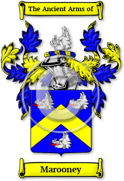 Marooney Family Crest Download (jpg) Legacy Series - 150 DPI