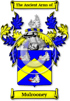 Mulrooney Family Crest Download (jpg) Legacy Series - 150 DPI