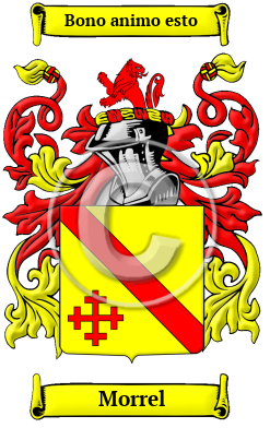 Morrel Family Crest Download (JPG) Heritage Series - 600 DPI