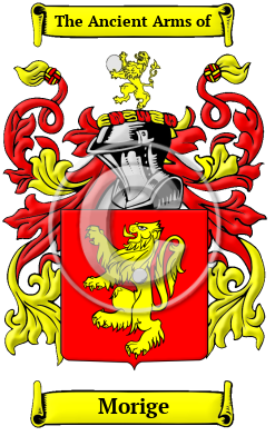 Morige Family Crest Download (JPG) Heritage Series - 600 DPI