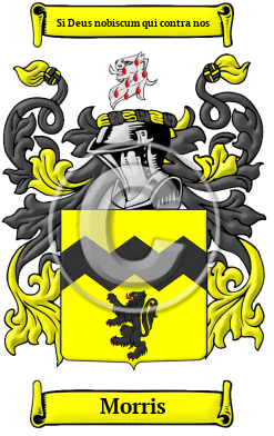 Morris Name Meaning, Family History, Family Crest & Coats Of Arms, Irish