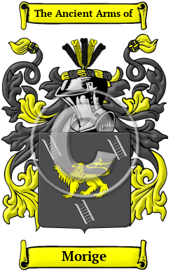 Morige Family Crest Download (JPG) Heritage Series - 600 DPI
