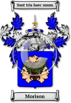 Morison Family Crest Download (jpg) Legacy Series - 150 DPI
