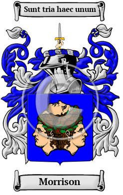 Morrison Family Crest Download (JPG) Heritage Series - 600 DPI