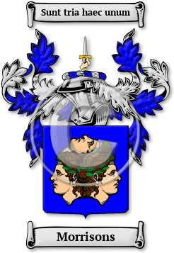 Morrisons Family Crest Download (jpg) Legacy Series - 150 DPI