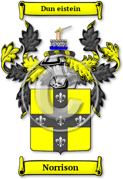 Norrison Family Crest Download (jpg) Legacy Series - 150 DPI