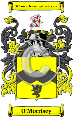 O'Morrisey Family Crest Download (JPG) Heritage Series - 600 DPI