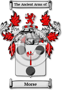 Morse Family Crest Download (jpg) Legacy Series - 150 DPI