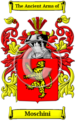 Moschini Family Crest/Coat of Arms